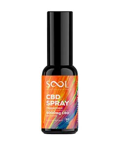BLACK SOOL Peppermint Spray 6000mg
